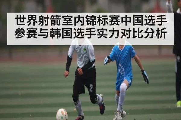 世界射箭室内锦标赛中国选手参赛与韩国选手实力对比分析 | kaiyun